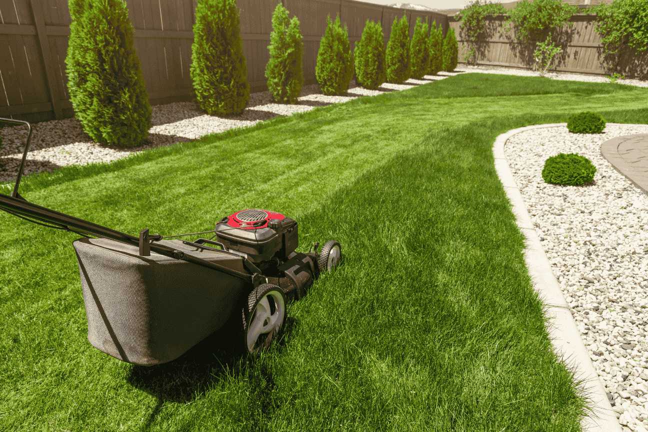 Perfect Greens for Your Lawn