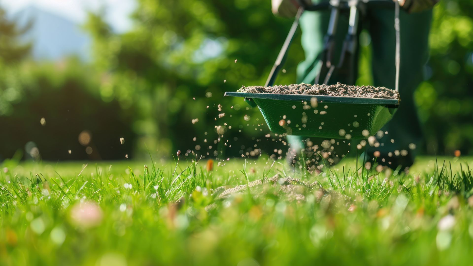 fertilizing lawn